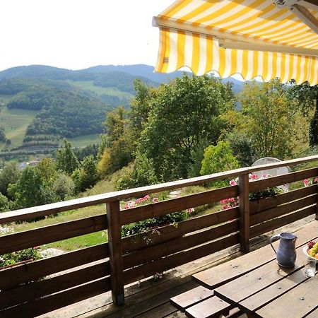 Chalet-Gite BerbucheSainte-Croix-aux-Mines エクステリア 写真