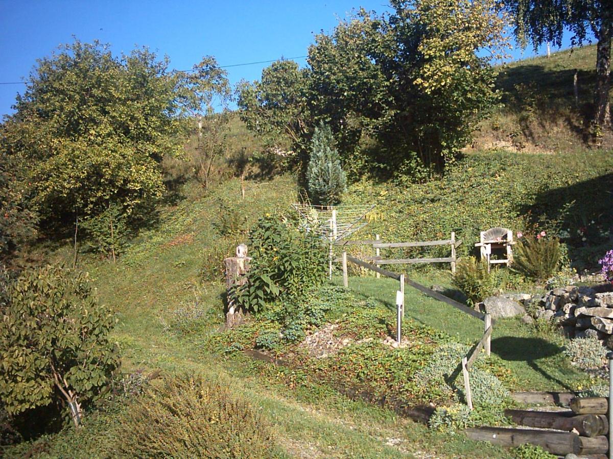 Chalet-Gite BerbucheSainte-Croix-aux-Mines エクステリア 写真