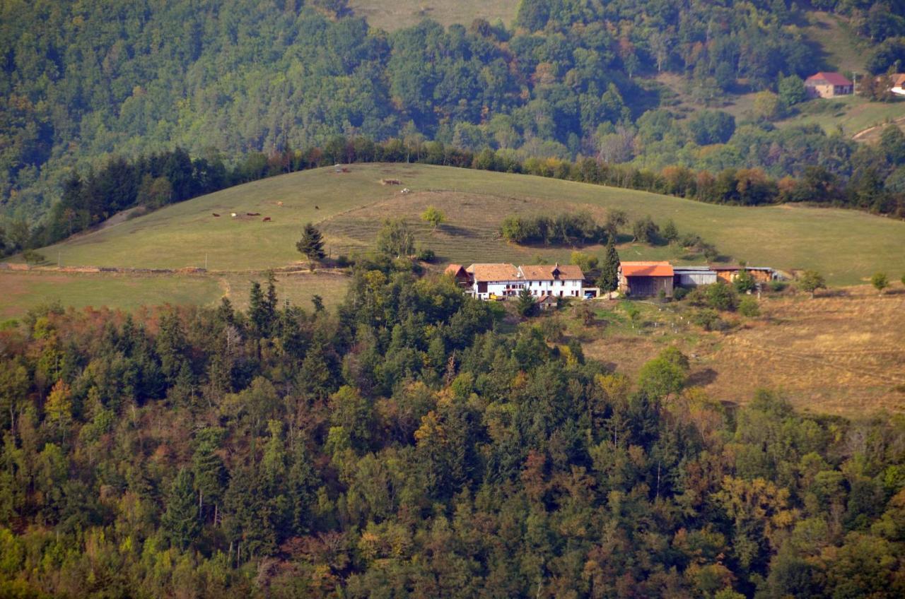 Chalet-Gite BerbucheSainte-Croix-aux-Mines エクステリア 写真